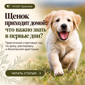 Щенок дома RU